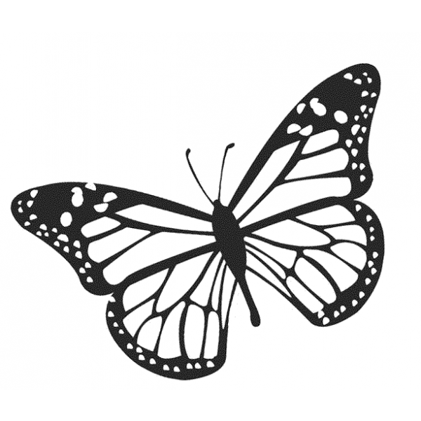 17 Disegni Farfalle Da Colorare E Stampare