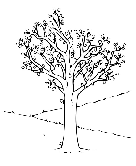 62 Disegni Alberi Stilizzati Da Colorare