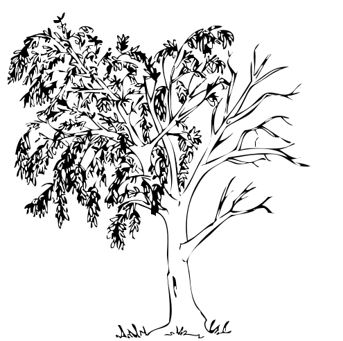 62 Disegni Alberi Stilizzati Da Colorare Ora che sto provando un genere di disegno un po' più stilizzato e meno realistico mi piacerebbe imparare nuove disegno e illustrazione · 8 years ago. 62 disegni alberi stilizzati da colorare