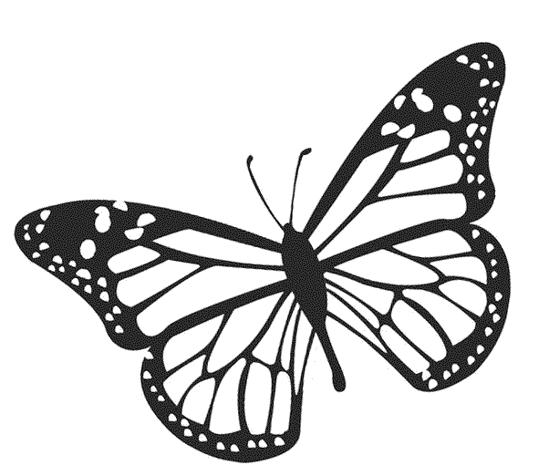 17 Disegni Farfalle da Colorare e Stampare