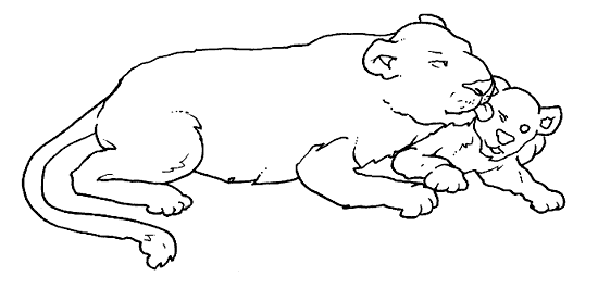 14 Disegni Cuccioli Da Colorare Per Bambini