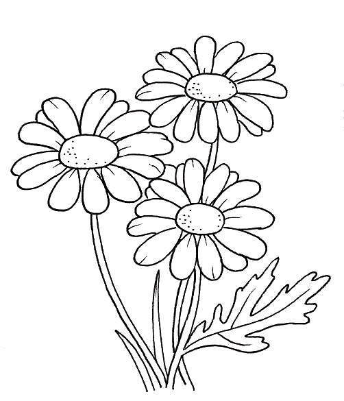 29 Disegni Fiori Da Colorare