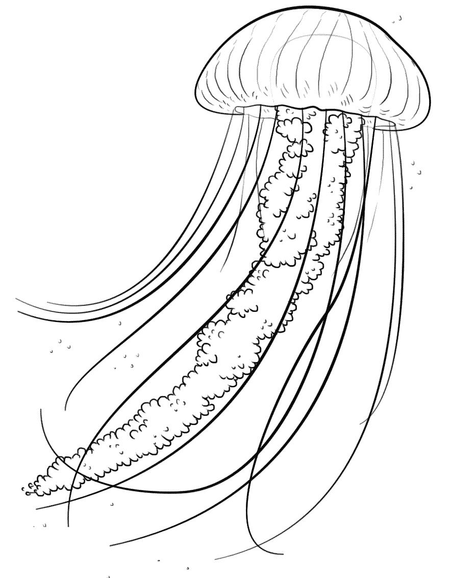 8 Disegni Meduse Da Colorare Per Bambini