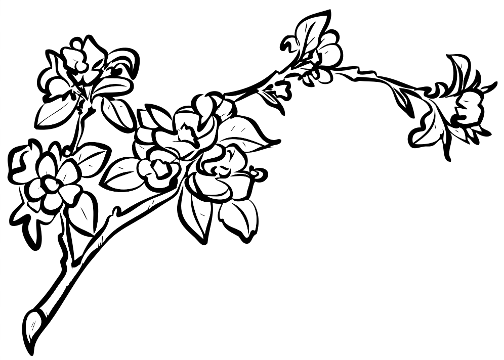 13 Disegni Melo Da Colorare Alberi