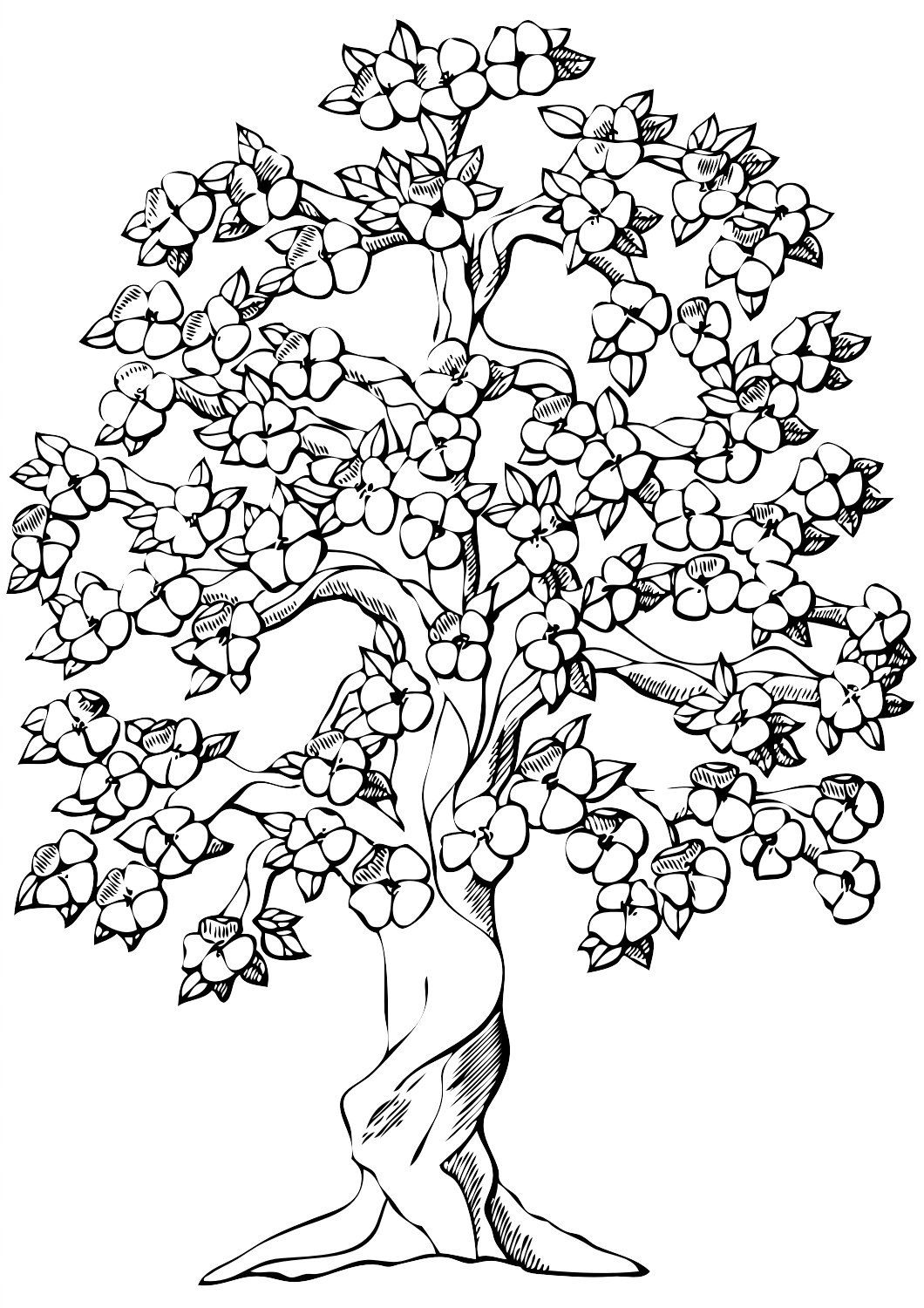 13 Disegni Melo Da Colorare Alberi