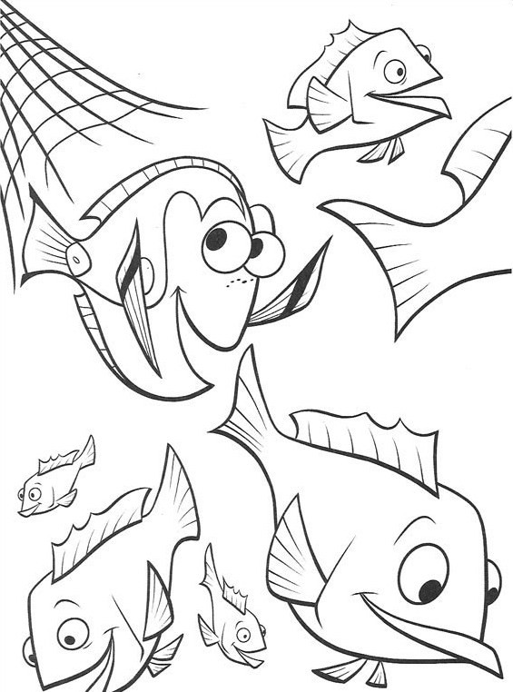 72 Disegni Nemo Da Colorare