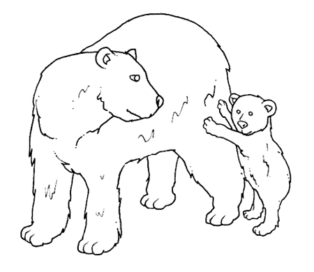 14 Disegni Cuccioli Da Colorare Per Bambini