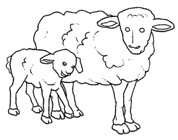 14 Disegni Cuccioli Da Colorare Per Bambini