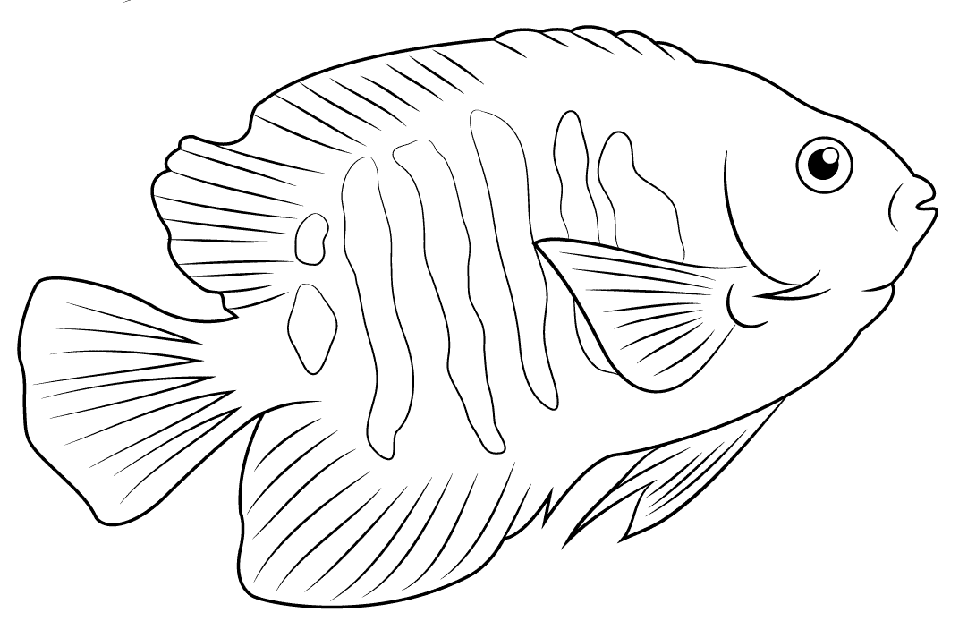 7 Disegni Del Pesce Angelo Da Colorare E Stampare