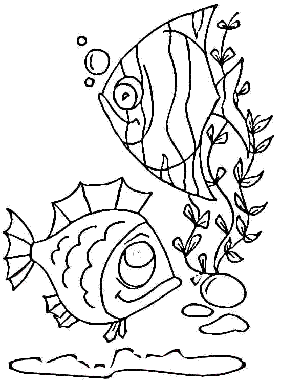 7 Disegni Di Pesci Tropicali Da Colorare