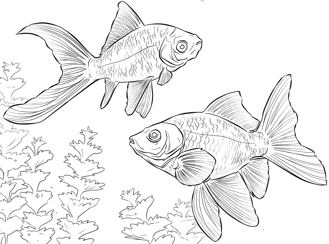 24 disegni pesciolini da colorare for Disegni pesci da colorare e stampare per bambini