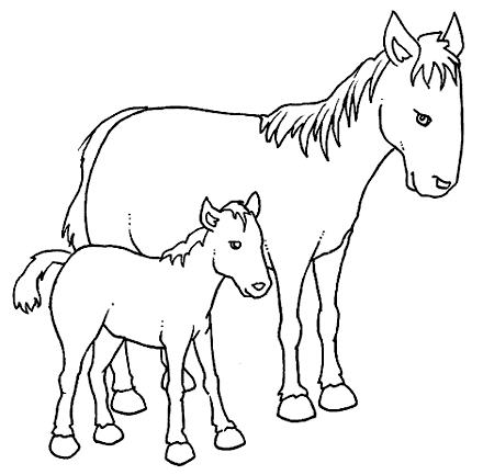 14 Disegni Cuccioli Da Colorare Per Bambini