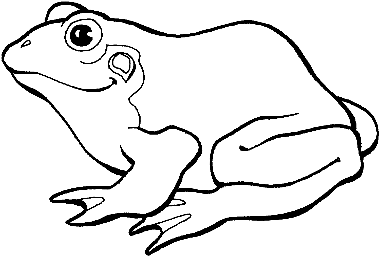 37 Disegni Rana da Colorare per bambini