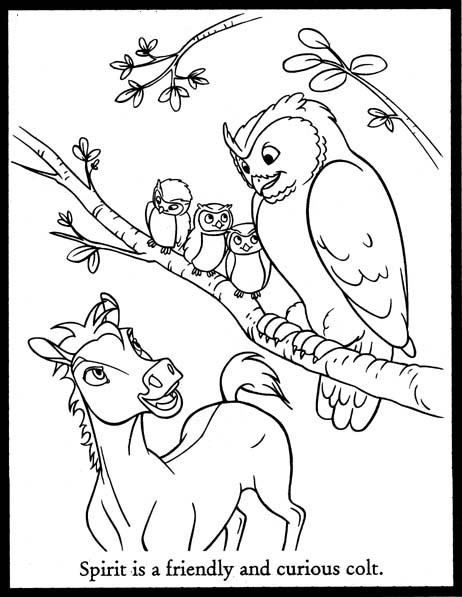 14 Disegni Spirit Cavallo Selvaggio Da Colorare
