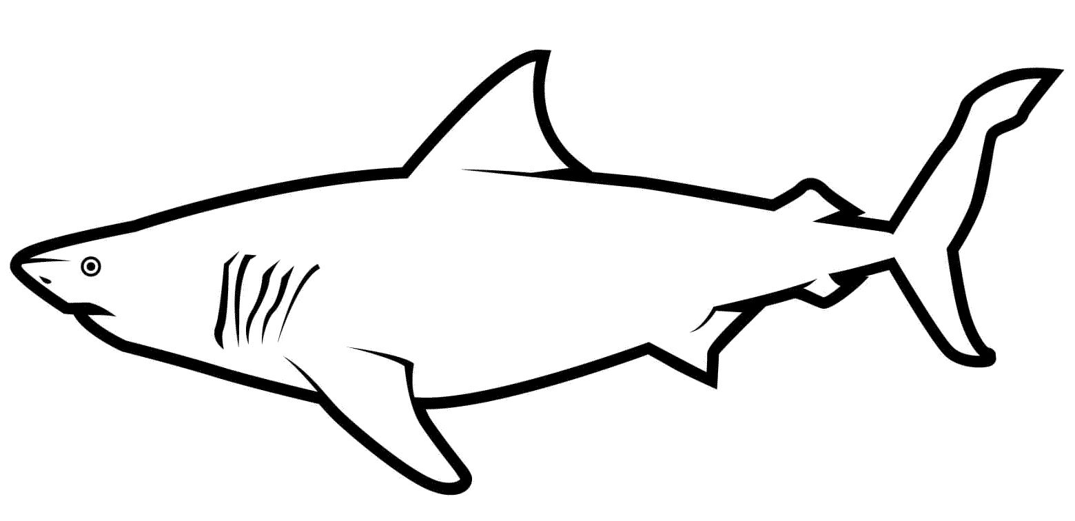 10 Disegni Squalo Bianco da Colorare