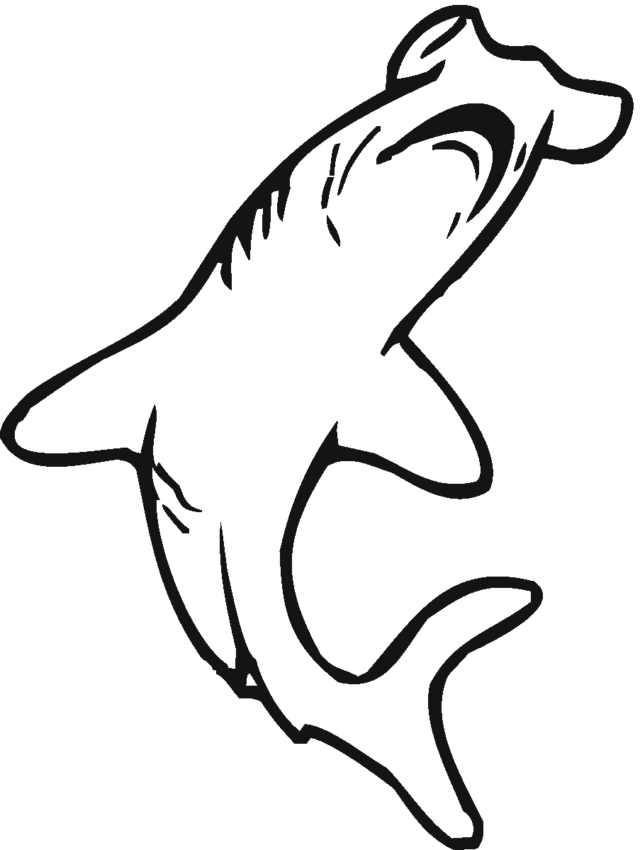 15 Disegni Squalo Martello Da Colorare E Stampare Pusheen Cat Orso Per Bambini