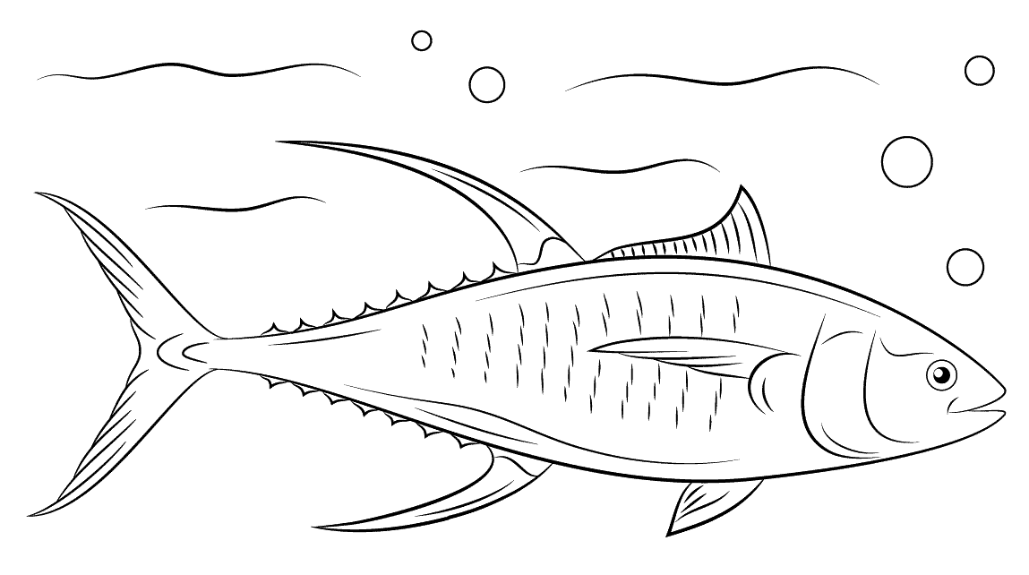 5 Disegni Tonno Da Colorare Per Bambini