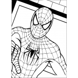 140 Disegni Spiderman da Colorare